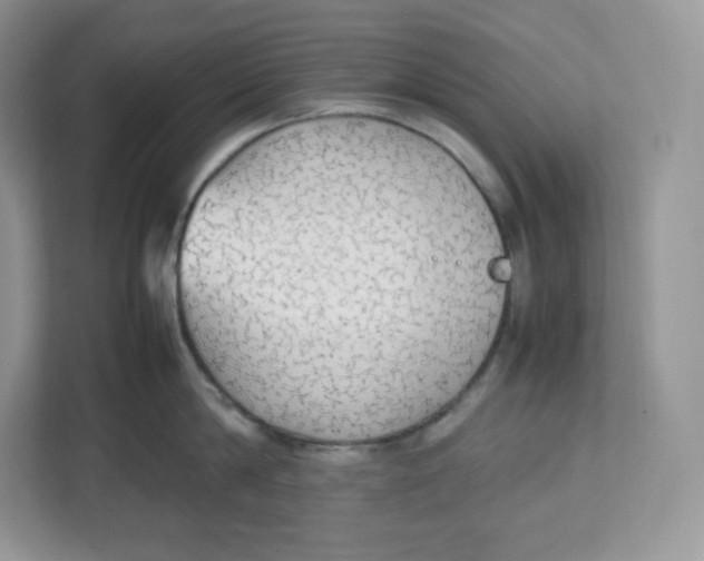 X0000112470814200909141117