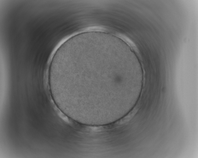 X0000112470816200909141117