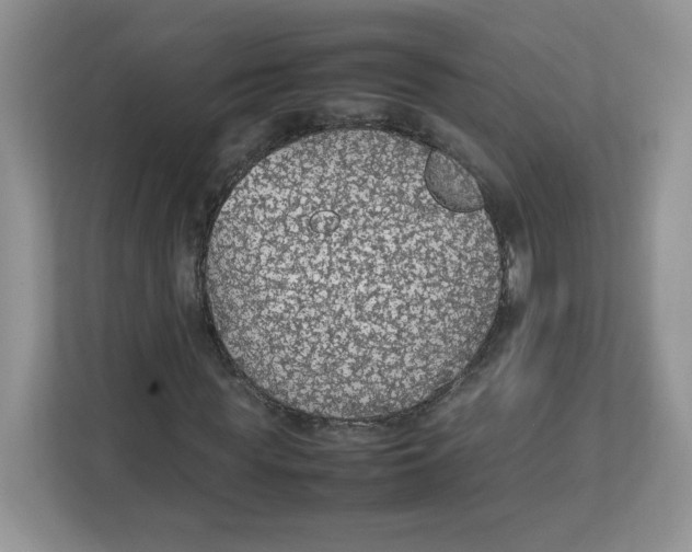 X0000112470819200909141116