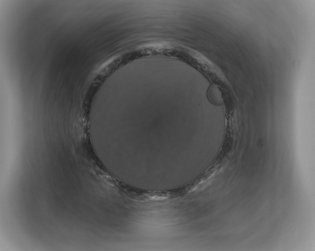 X0000112470822200909141116