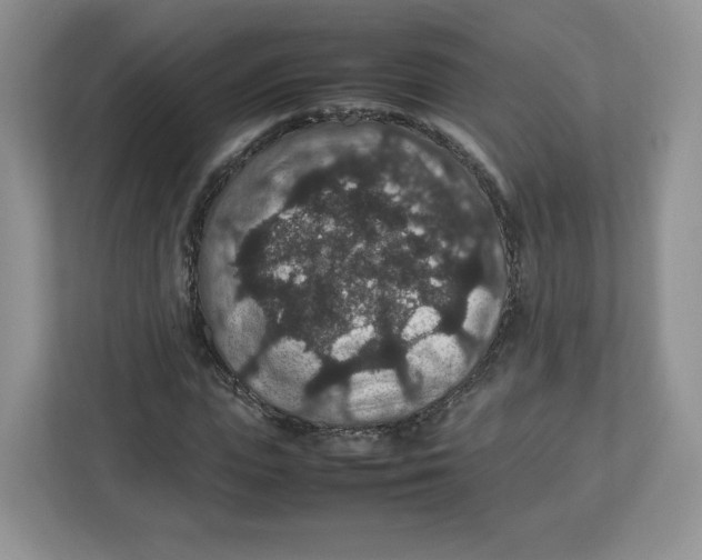 X0000112470823200909141116