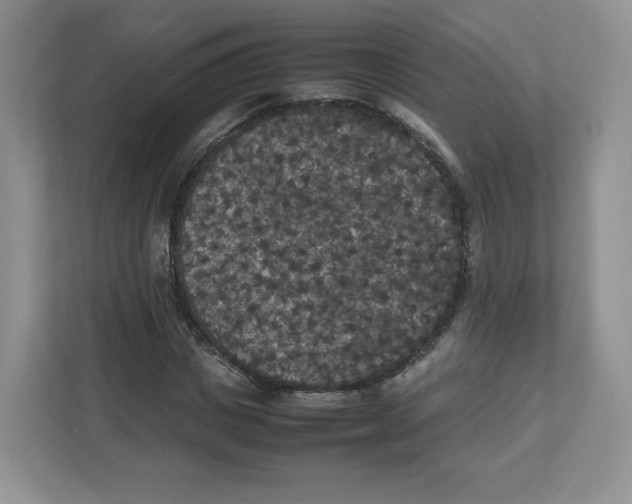 X0000112470825200909141116