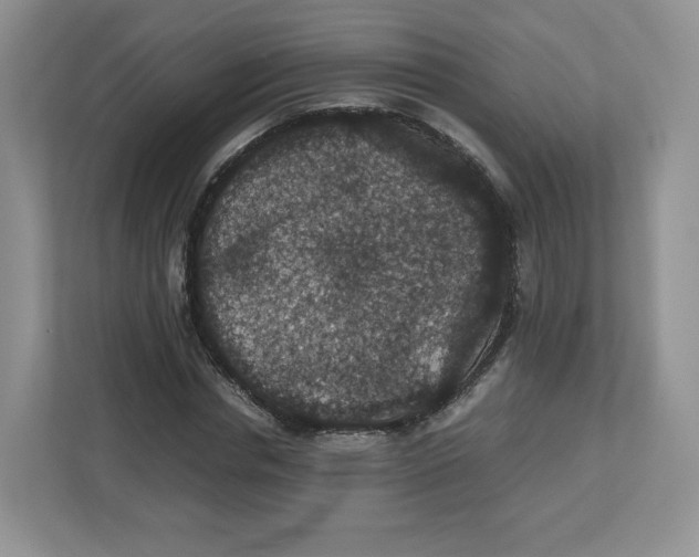 X0000112470826200909141116