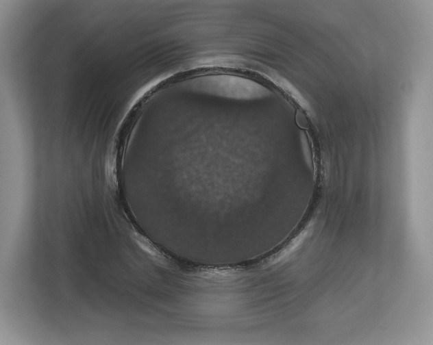 X0000112470830200909141116