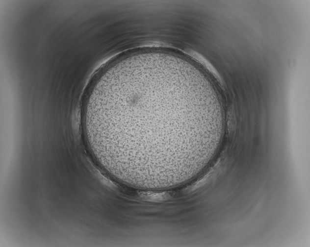 X0000112470831200909141116