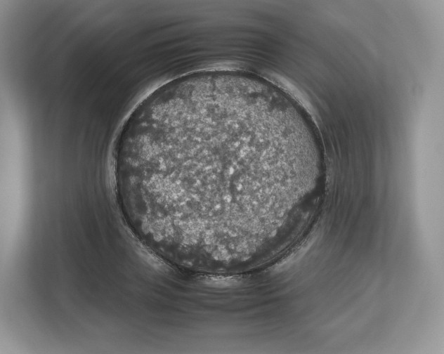 X0000112470835200909141117