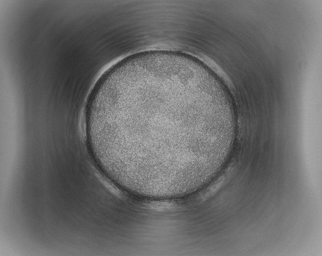 X0000112470838200909141117