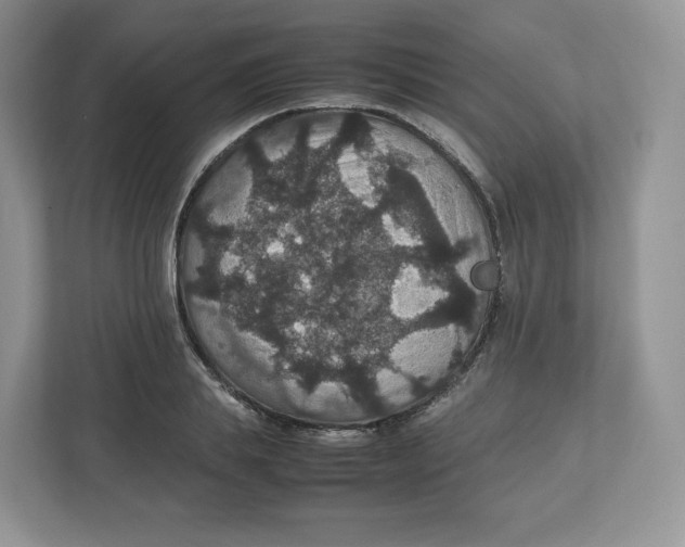 X0000112470839200909141117