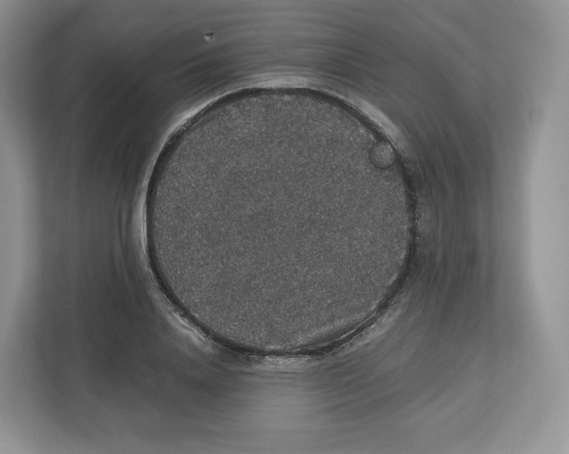 X0000112470840200909141117