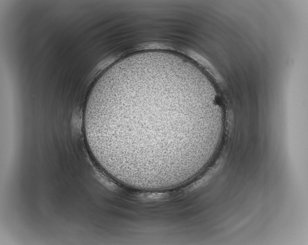 X0000112470841200909141117