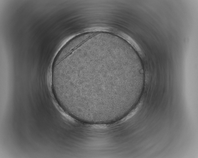 X0000112470844200909141117