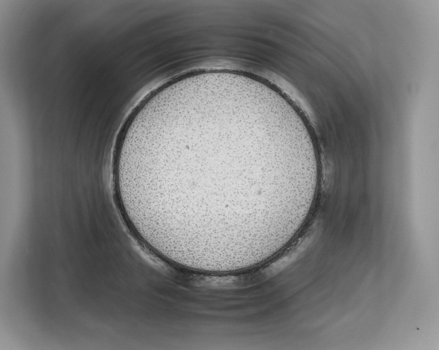 X0000112470845200909141117