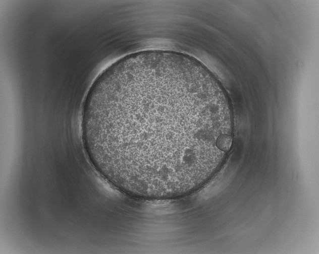 X0000112470846200909141117