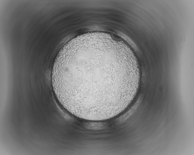 X0000112470849200909141117