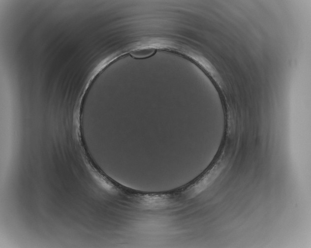 X0000112470850200909141117