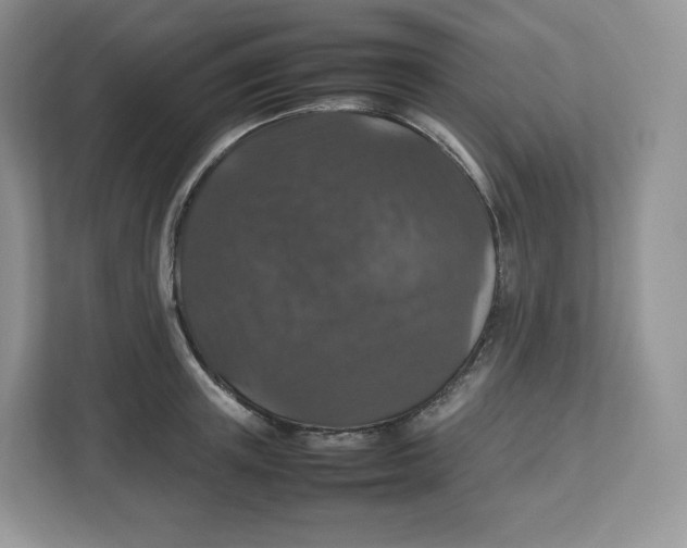 X0000112470851200909141117
