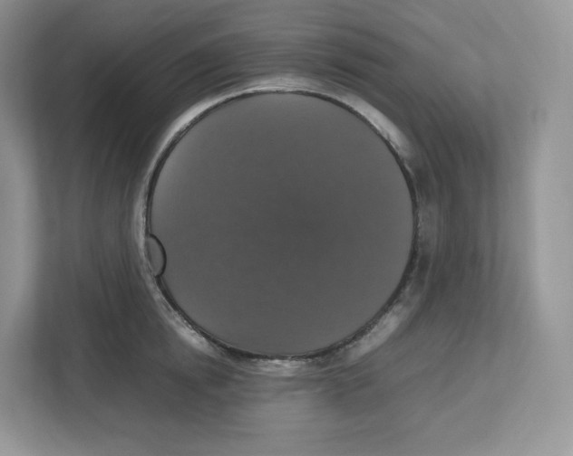 X0000112470854200909141117