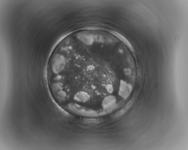 X0000112470855200909141117