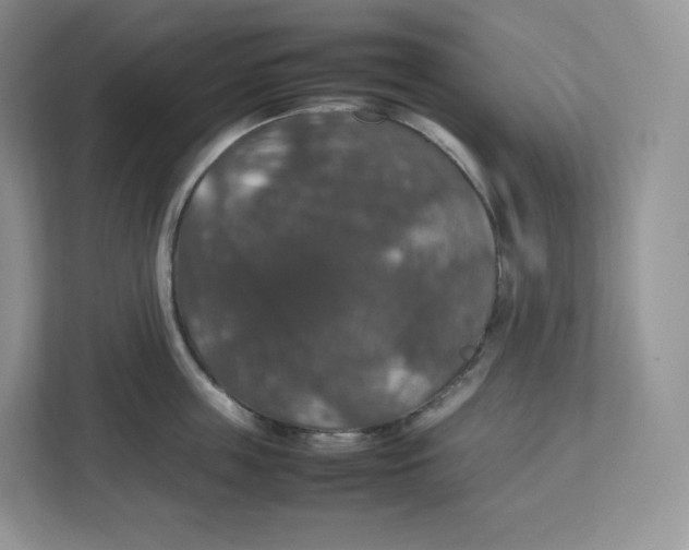 X0000112470859200909141117