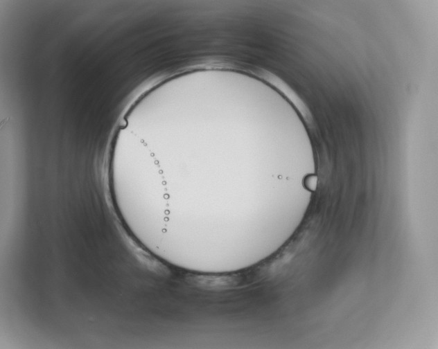 X0000112470861200909141117