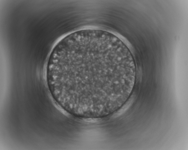 X0000112470862200909141117