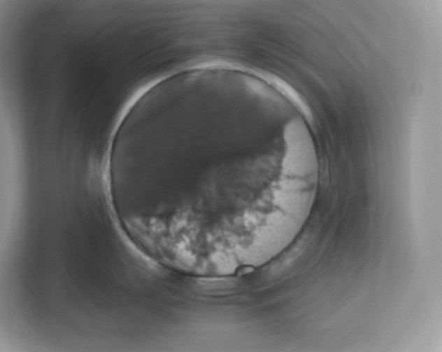 X0000112470863200909141117