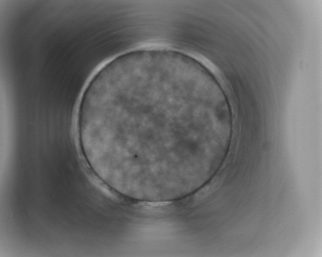 X0000112470864200909141117