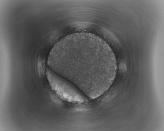 X0000112470868200909141116