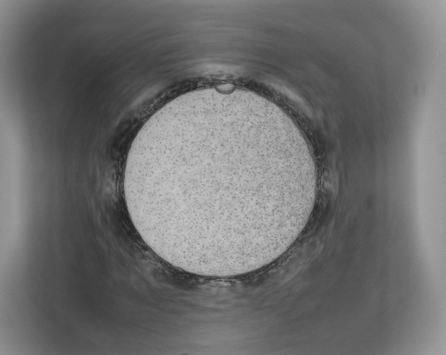 X0000112470869200909141116