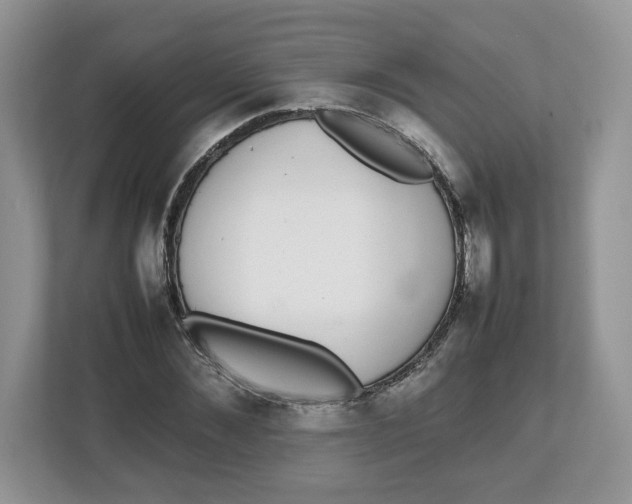 X0000112470876200909141116