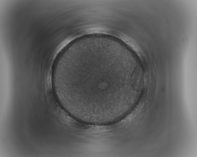 X0000112470877200909141116
