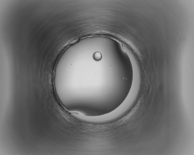 X0000112470881200909141116