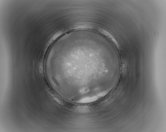 X0000112470882200909141116