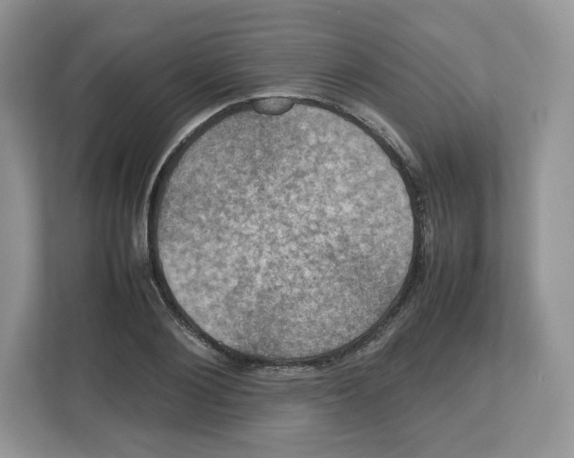 X0000112470884200909141116