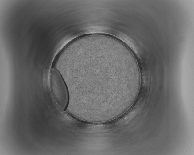 X0000112470885200909141116