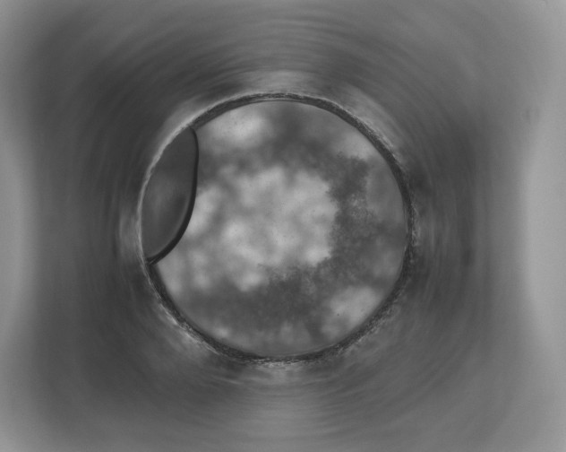 X0000112470888200909141116