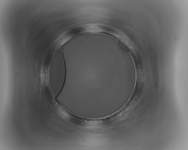 X0000112470889200909141116