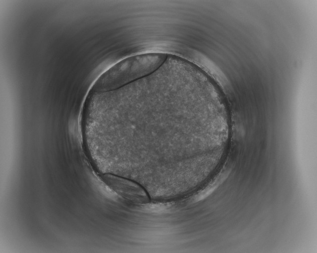 X0000112470892200909141116