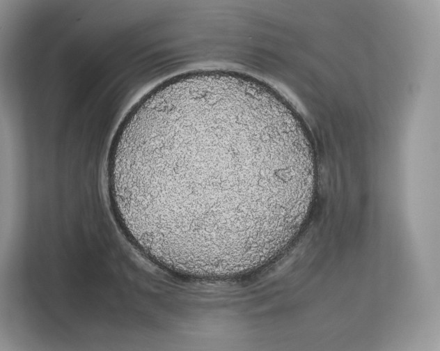 X0000112470895200909141116