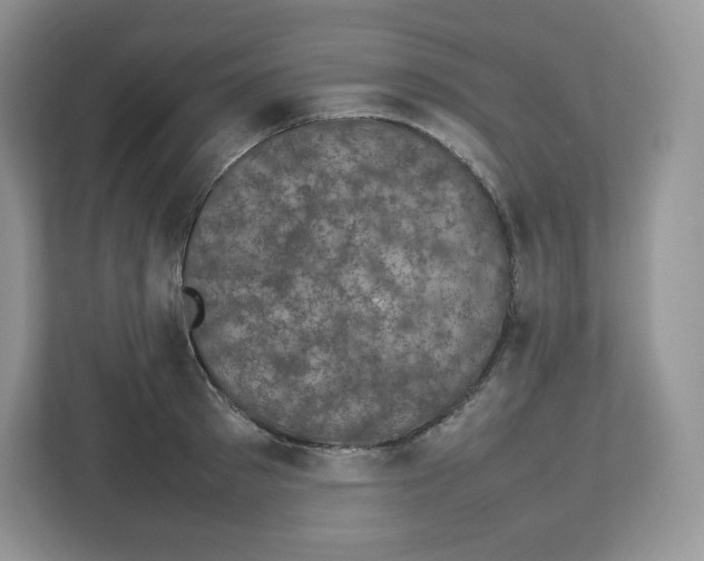 X0000112470897200909141116