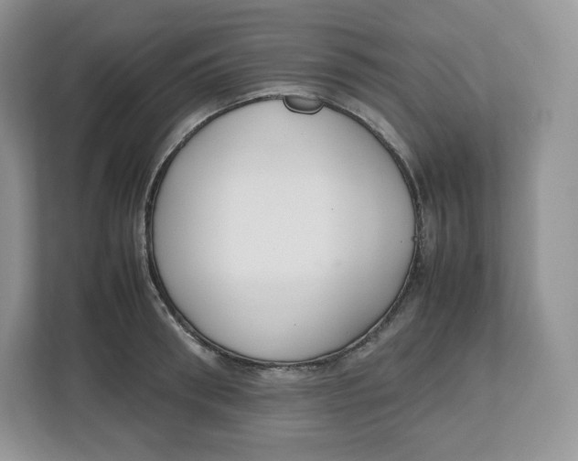 X0000112470898200909141116