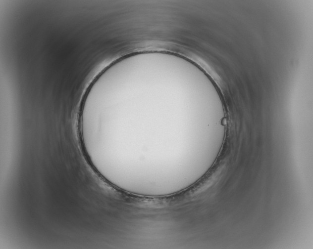 X0000112470901200909141116