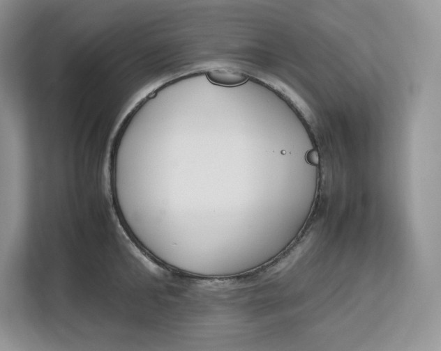X0000112470902200909141116