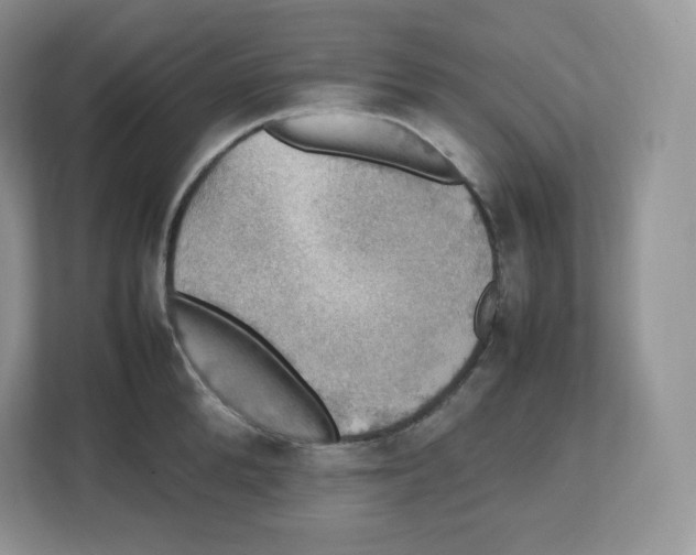 X0000112470904200909141116