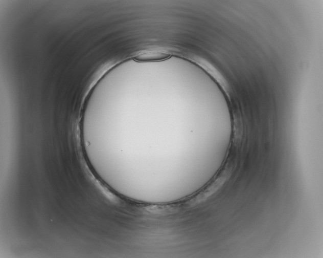 X0000112470906200909141116
