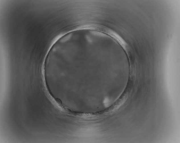 X0000112470907200909141116