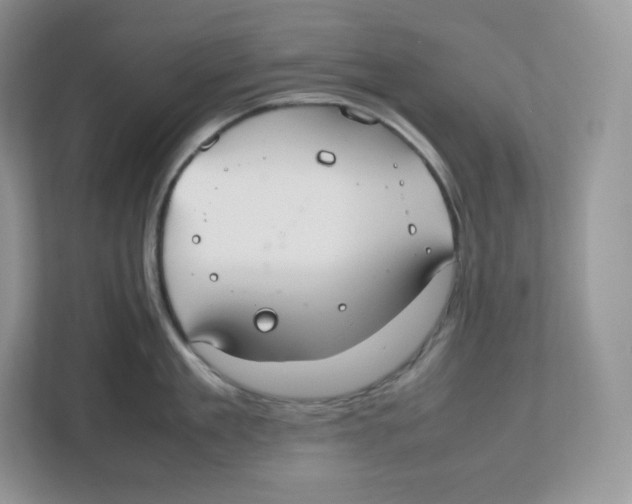 X0000112470909200909141116