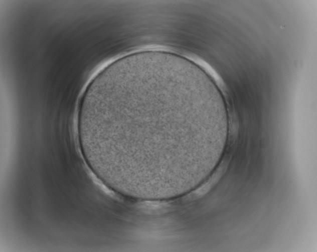 X0000112470910200909141116