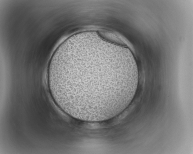 X0000112470911200909141116