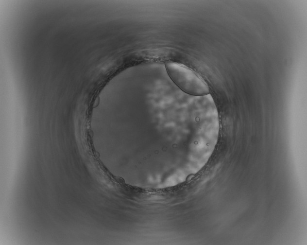 X0000112470913200909141115